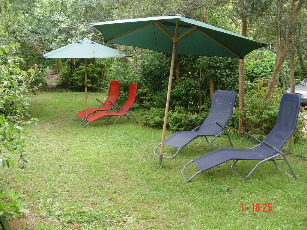 Cabanas El Bosque Patagonico Frutillar Cameră foto