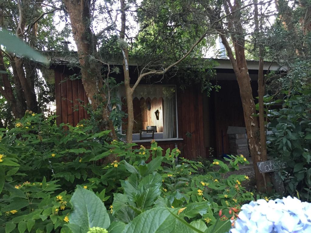 Cabanas El Bosque Patagonico Frutillar Exterior foto